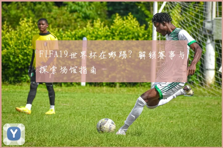 FIFA19世界杯在哪踢?解锁赛事与探索场馆指南