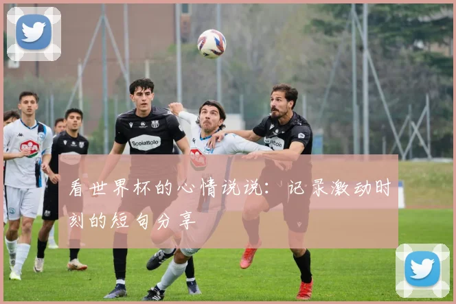 看世界杯的心情说说：记录激动时刻的短句分享
