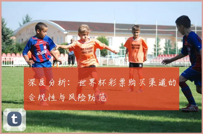 深度分析：世界杯彩票购买渠道的合规性与风险防范