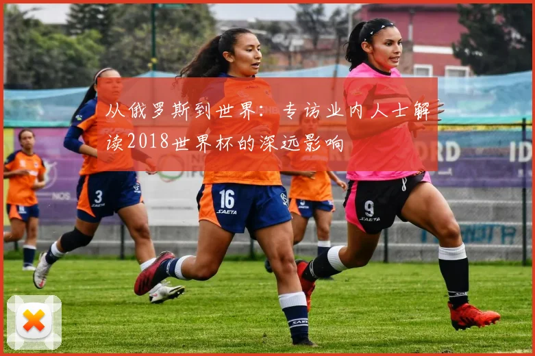 从俄罗斯到世界：专访业内人士解读2018世界杯的深远影响