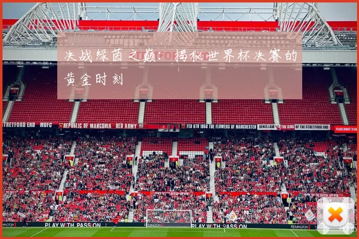 决战绿茵之巅：揭秘世界杯决赛的黄金时刻