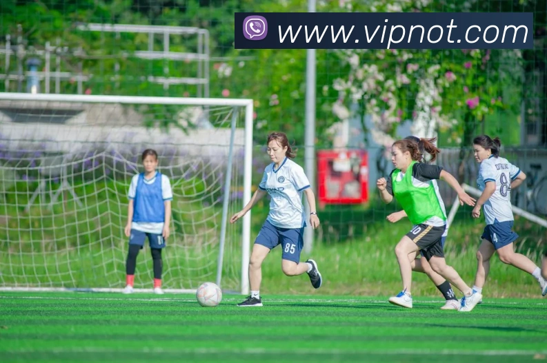 开云手机在线官网登录APP 体育赛事宣传图